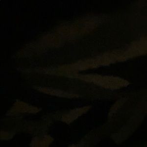 Meet your Posher, Sandy